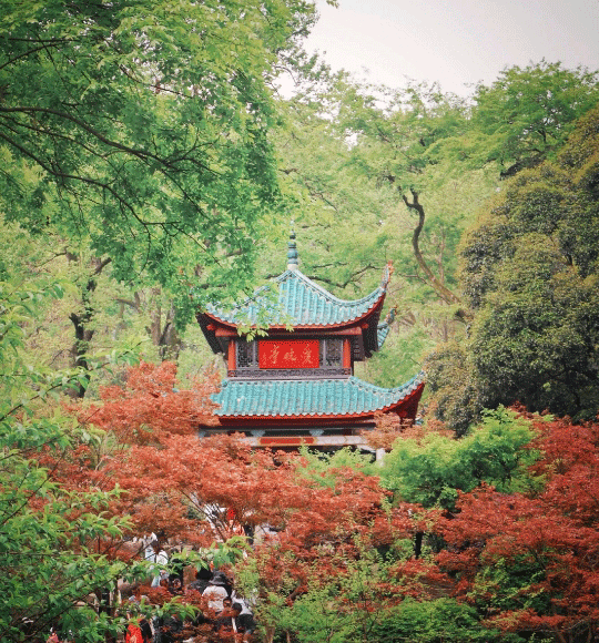 張家界跟團(tuán)游,張家界旅游攻略5天自由行,張家界自駕游,張家界旅游路線(xiàn)攻略,張家界中國(guó)國(guó)際旅行社